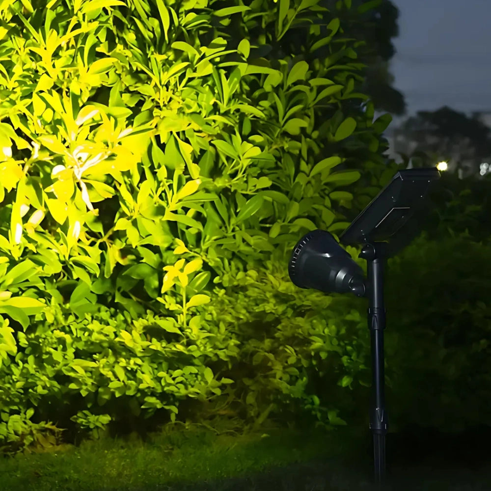LumaBloom - Faretto Solare Da Giardino