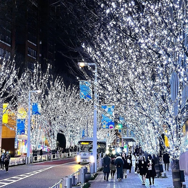 TwinkleWire - Luci Decorative a Filo Di Rame Con Telecomando