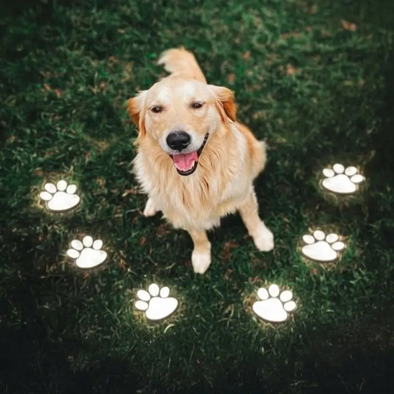 PawGlow - Luci Solari a LED per Esterni Luci per Zampe